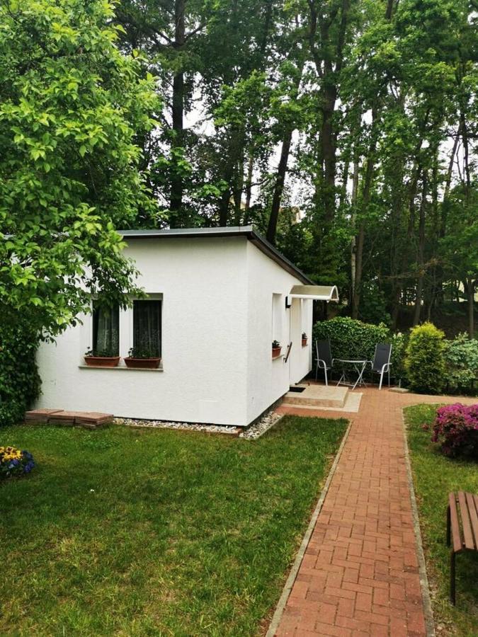 Ferienbungalow Im Igelbau Baabe Ngoại thất bức ảnh
